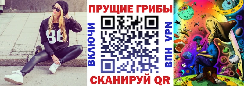 Псилоцибиновые грибы GOLDEN TEACHER  Купить  Заринск 